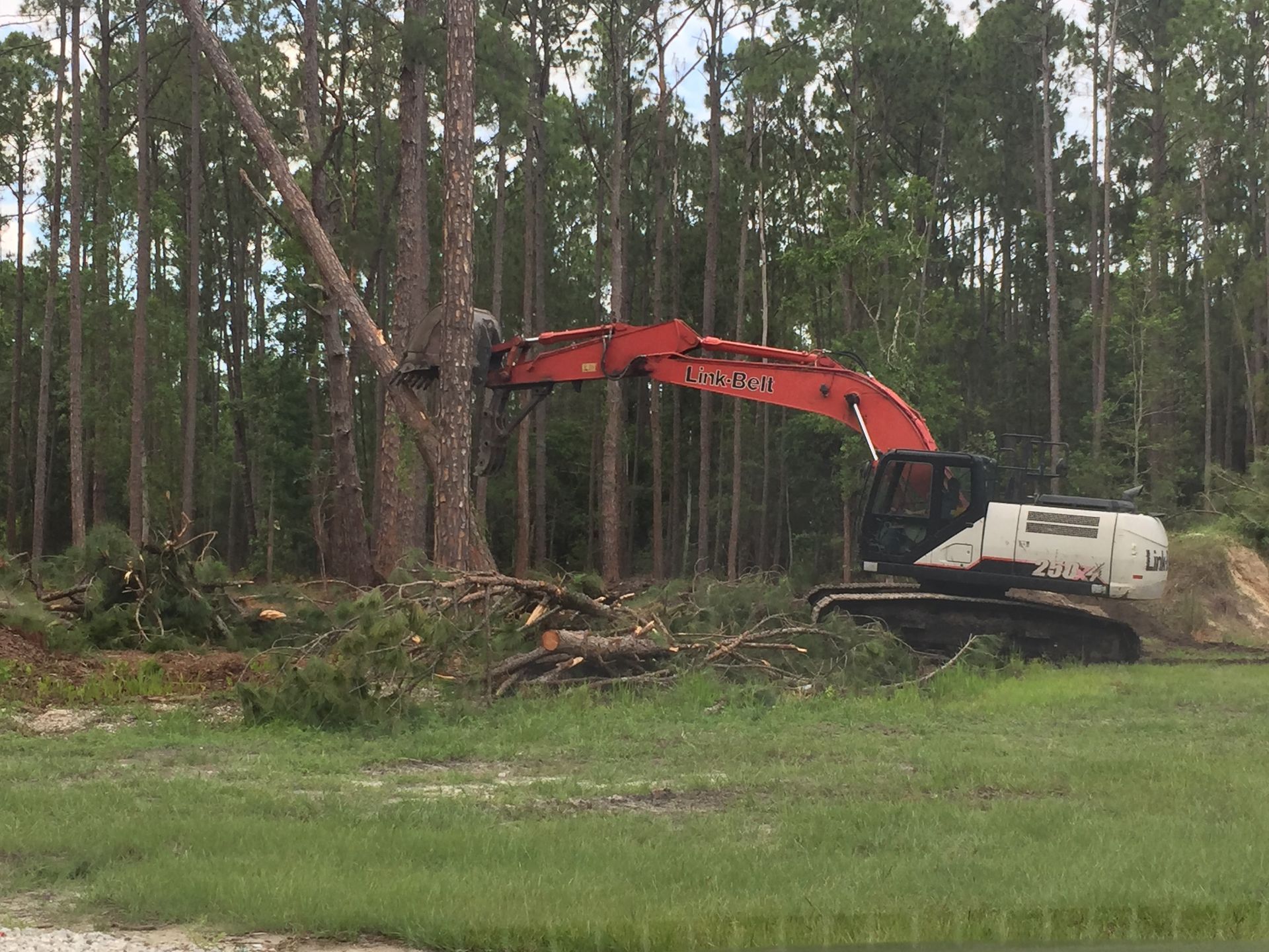 clearing land and removing trees with big machine
