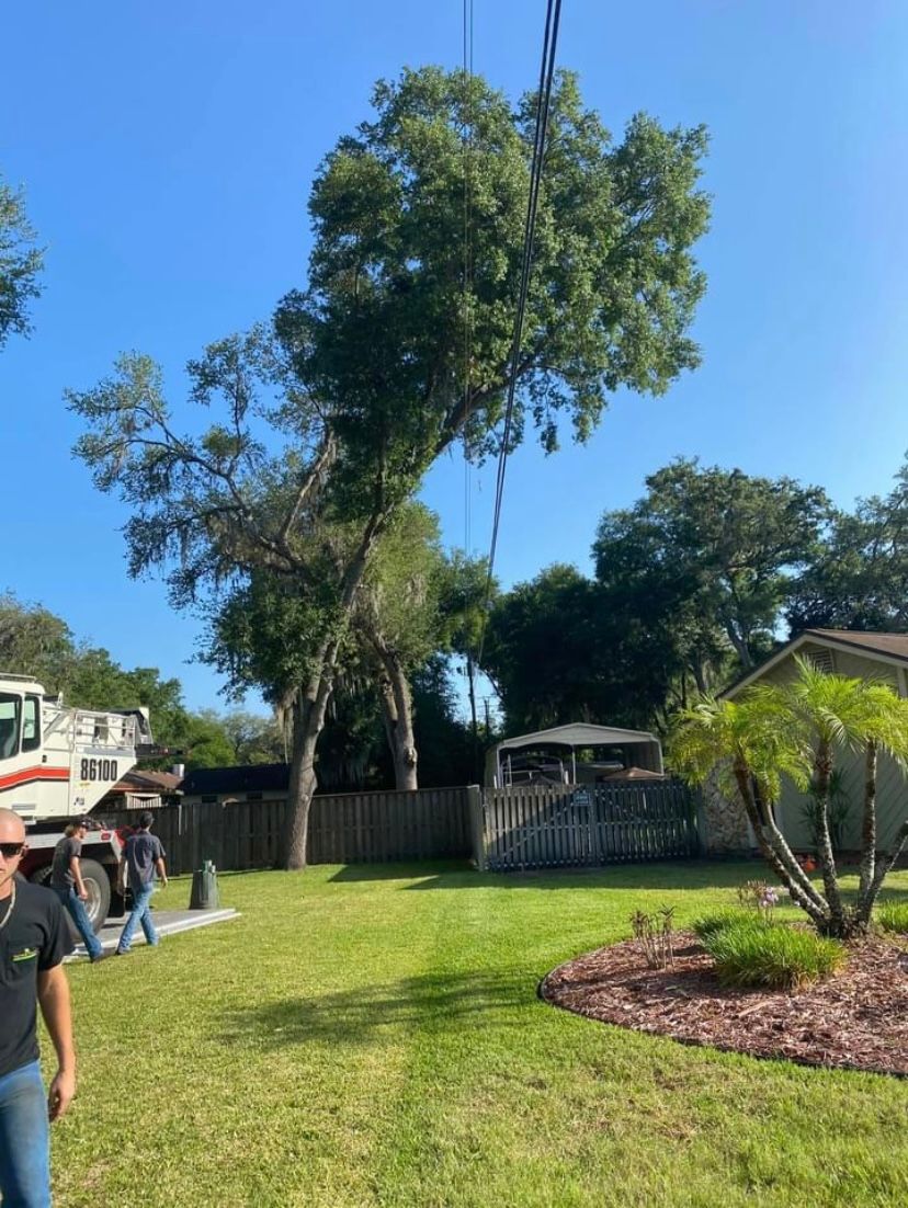 Dirt Work Service in Sanford, FL