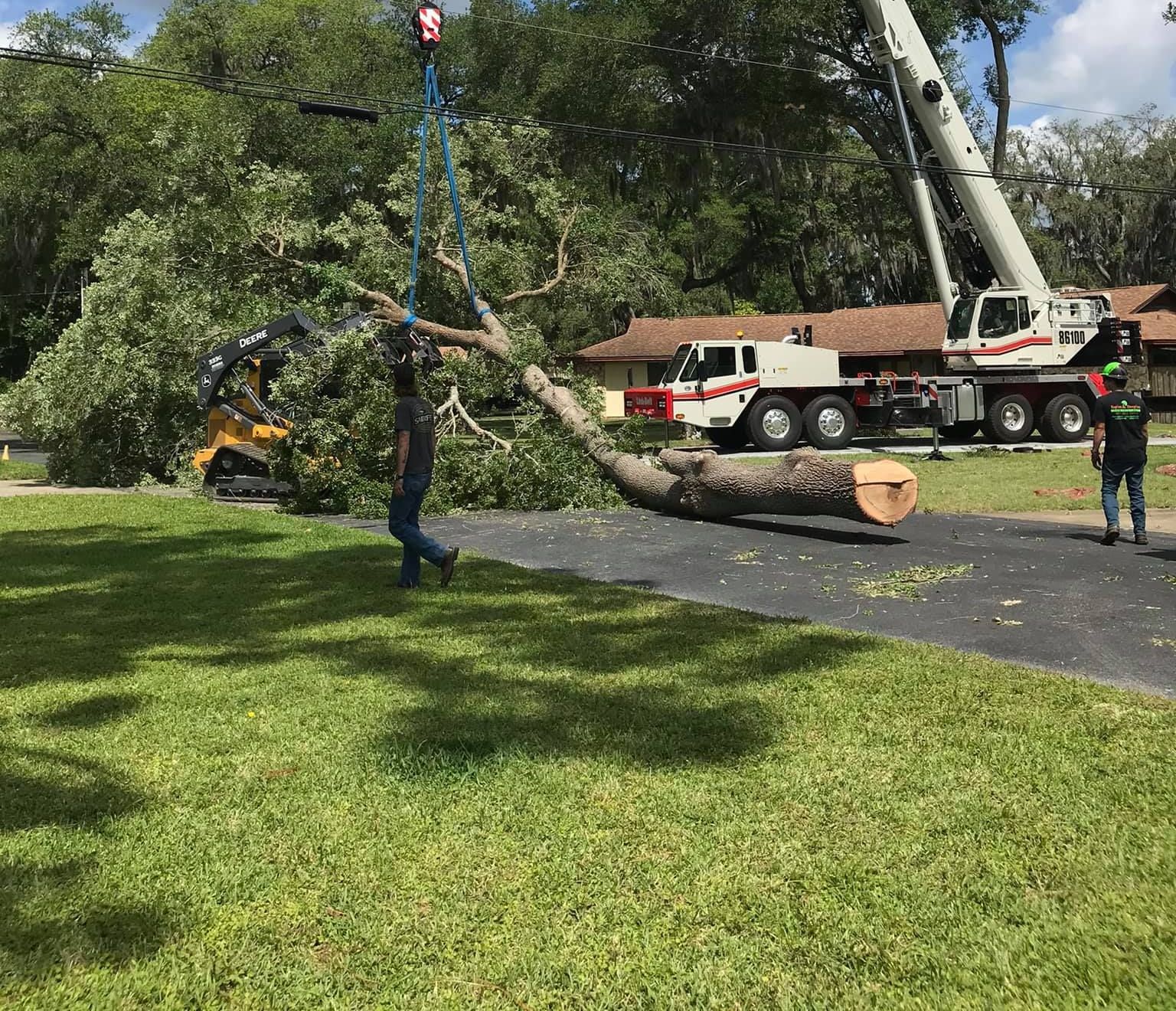 A crane is lifting a tree in a driveway.