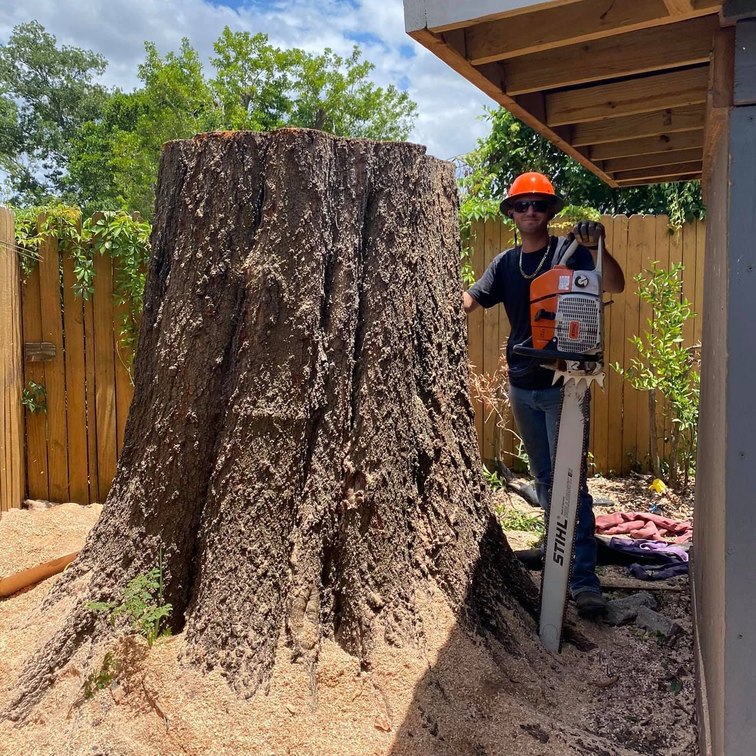 Tree Service in Sanford, FL