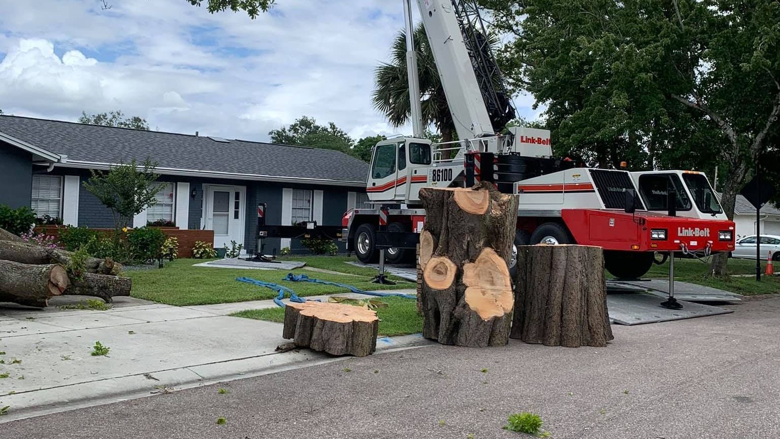  A large tree removal operation in a residential neighborhood in Sanford, FL. A white and red Link-B