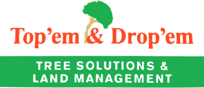 Top Em & Drop Em Tree Solutions and Land Management