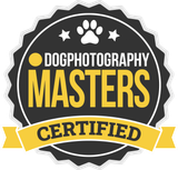 Master Dog Photography Logo