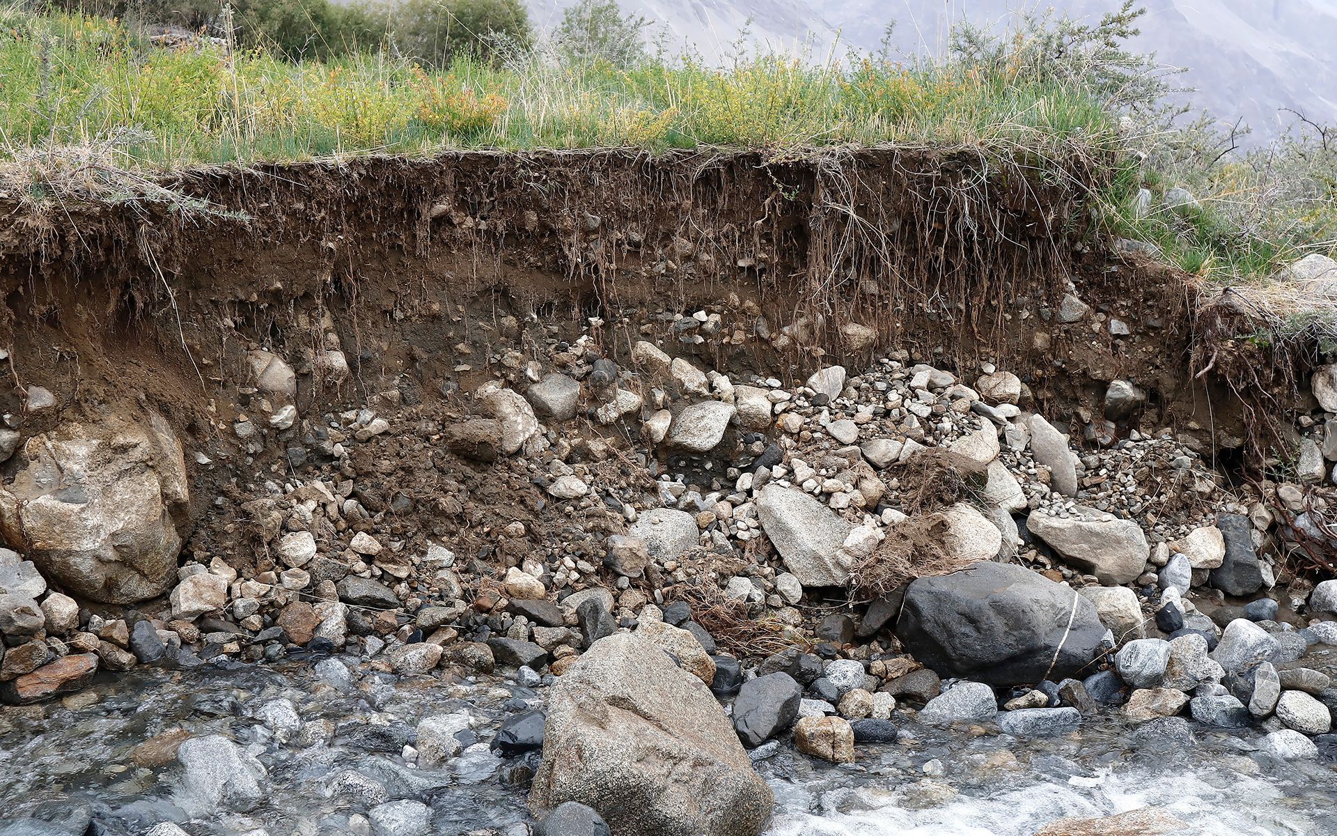 Exposed soil layers with grass and rocks; a riverbank.