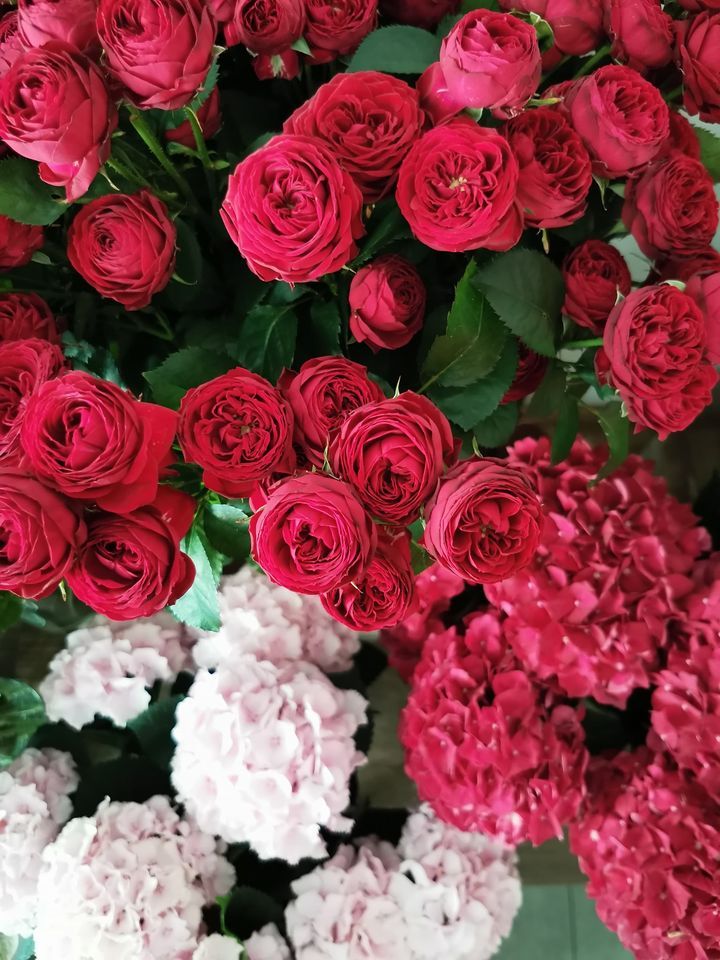 Assortimento di rose e ortensie