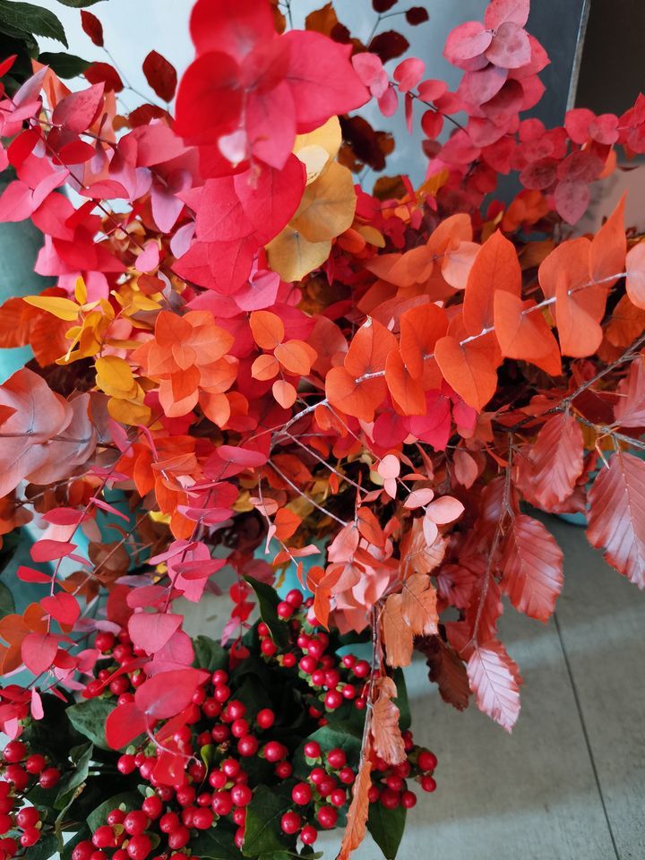 Fiori e foglie per composizioni