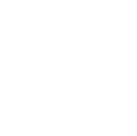 foot icon