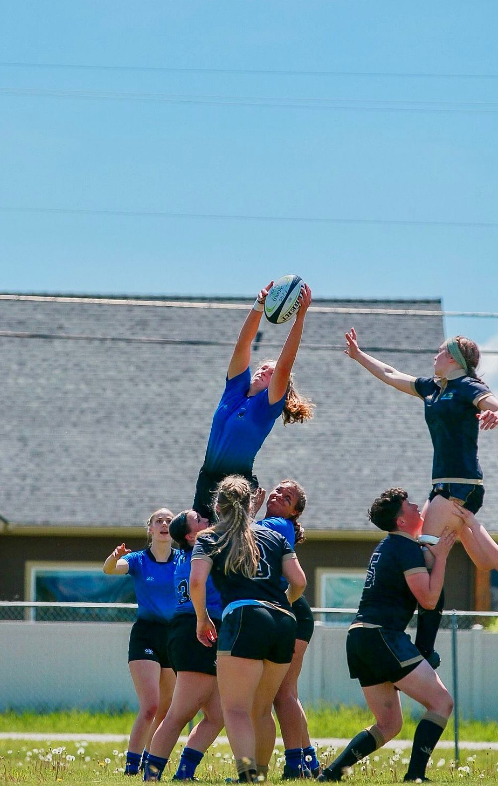 Rugby players in blue and black uniforms competing to catch a ball during a game on a sunny day.