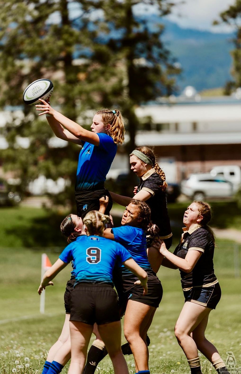Rugby players in blue and black jerseys compete for the ball in a park.