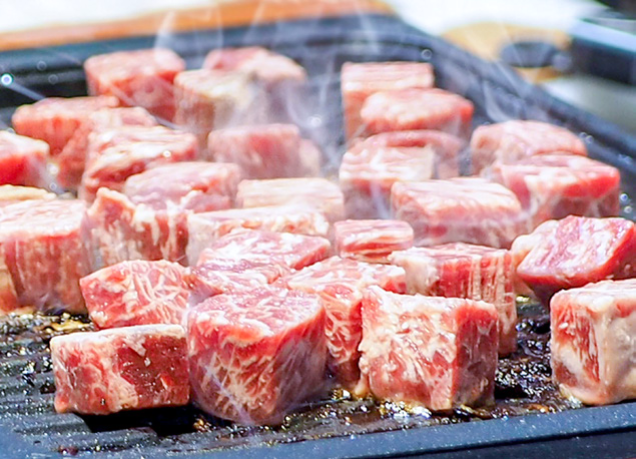 HighDream Generation 4 Plus
Frischfleisch