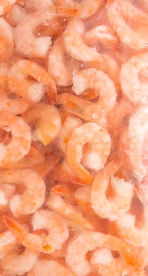 HighDream Generation 4 Plus
gefrorener Fisch und Meeresfrüchte