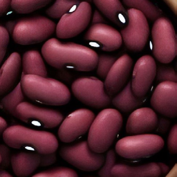 HighDream Generation 4 Plus
Bohnen, Beans