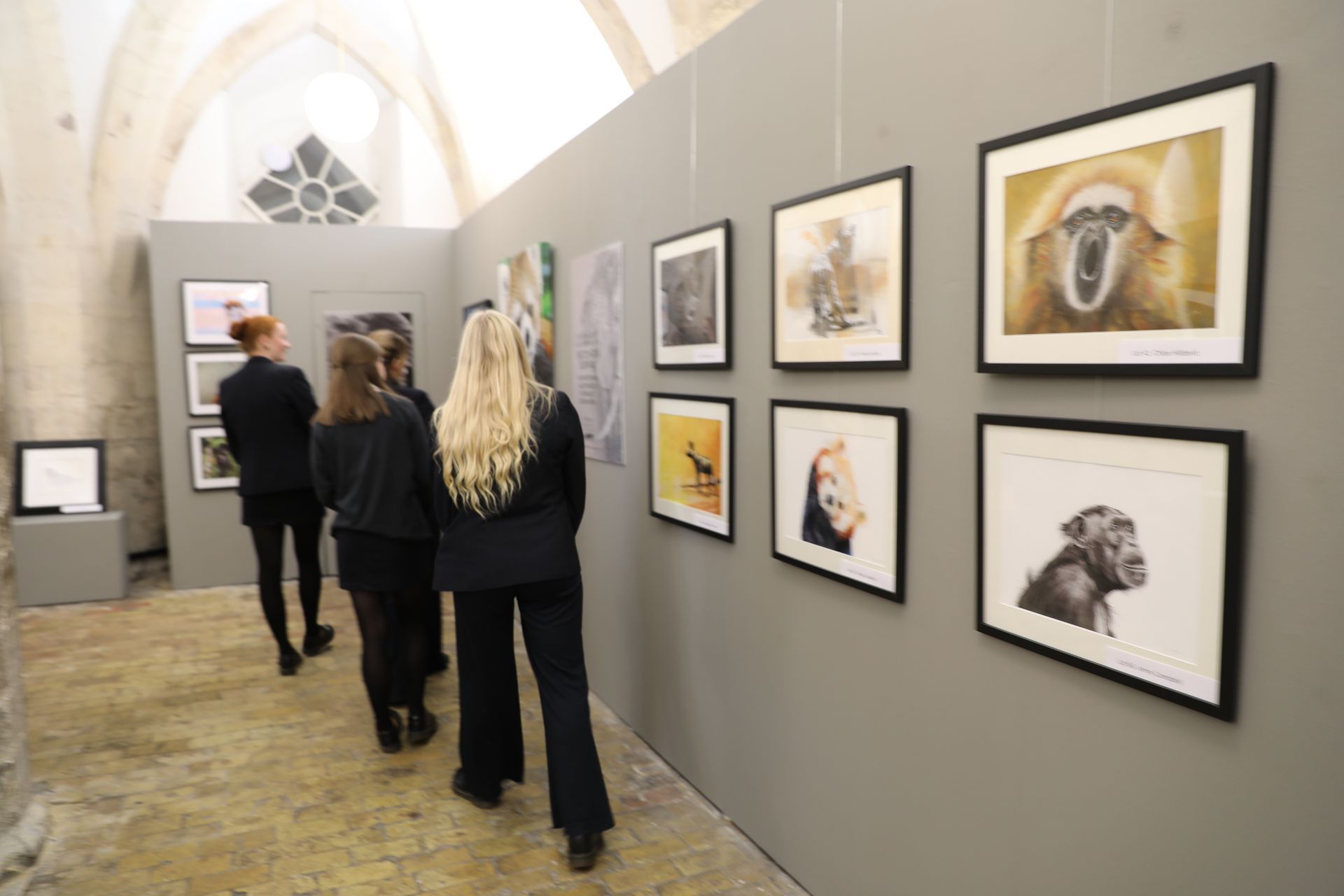 A group of people are looking at pictures on a wall in a museum.