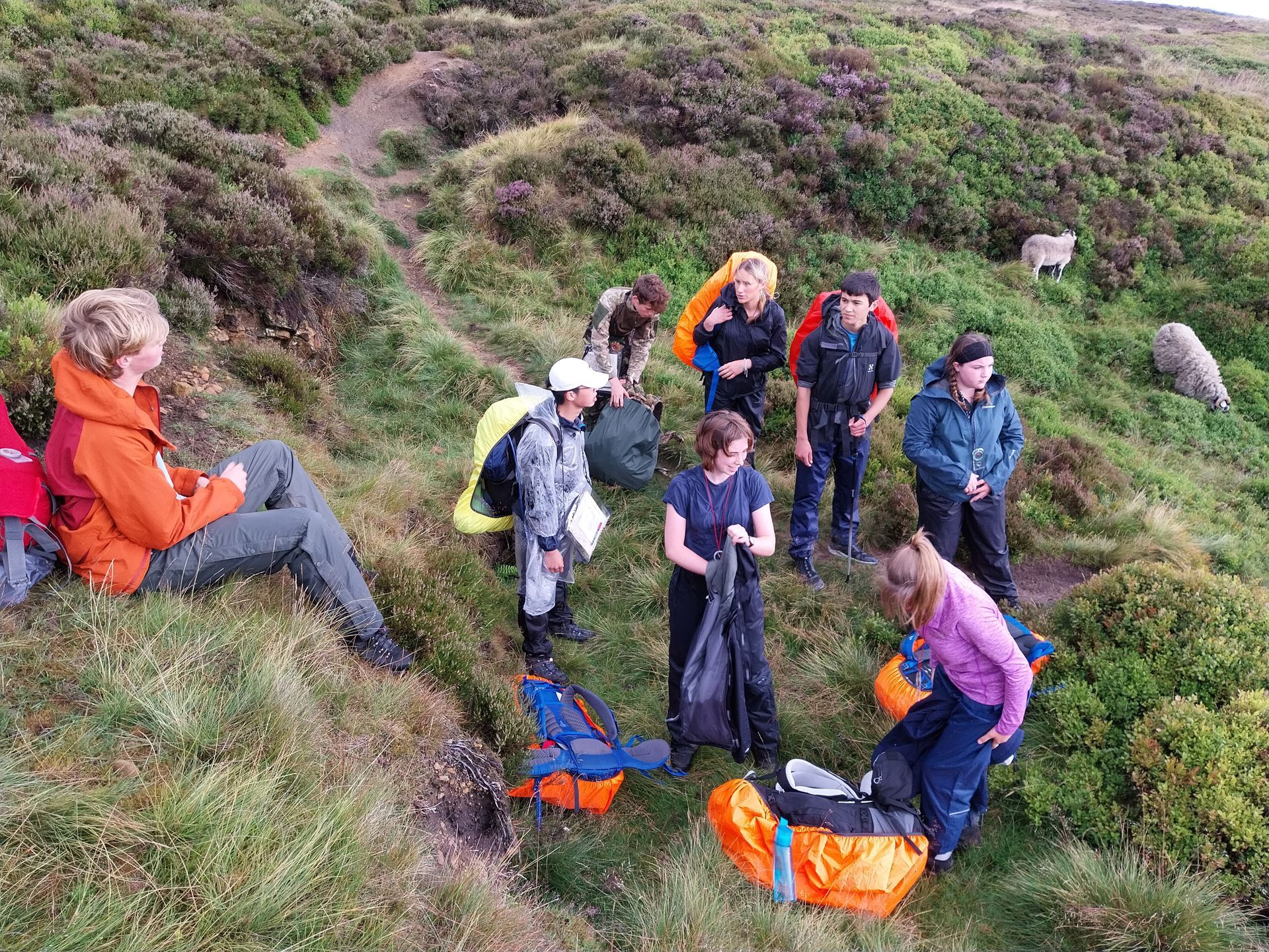 A group of people are standing on top of a grassy hill.