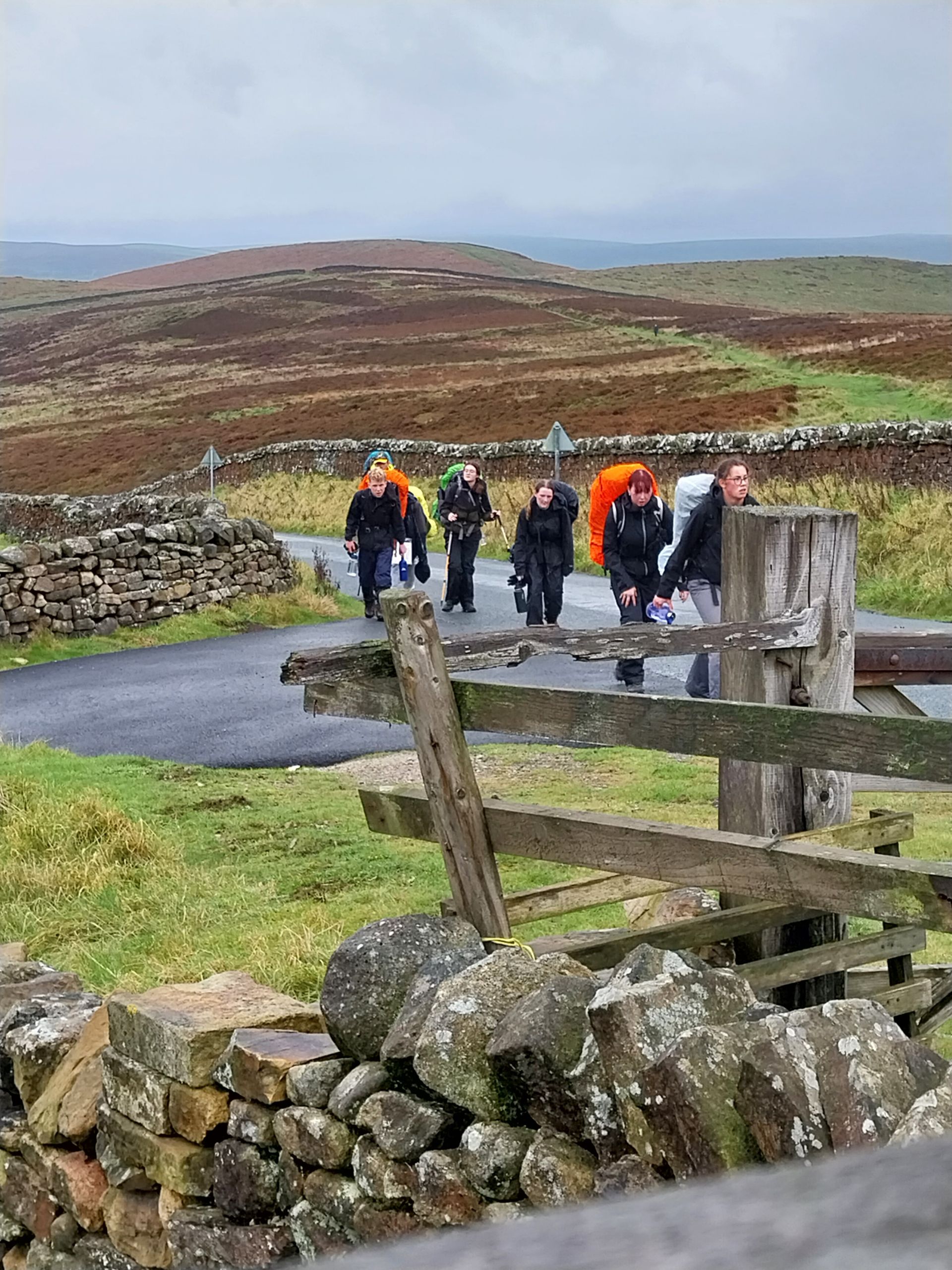 A group of people are walking down a road next to a wooden fence.