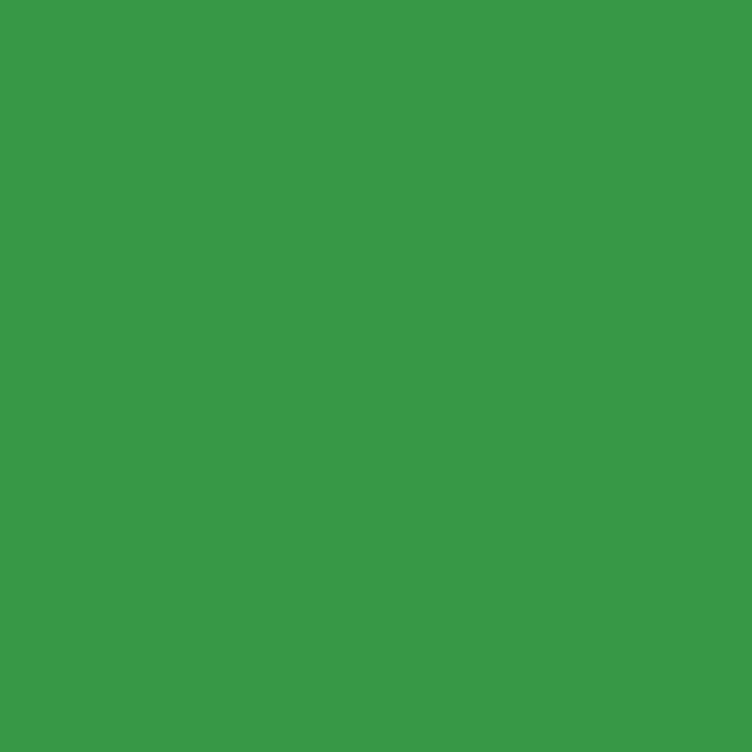 A close up of a green background with no texture.
