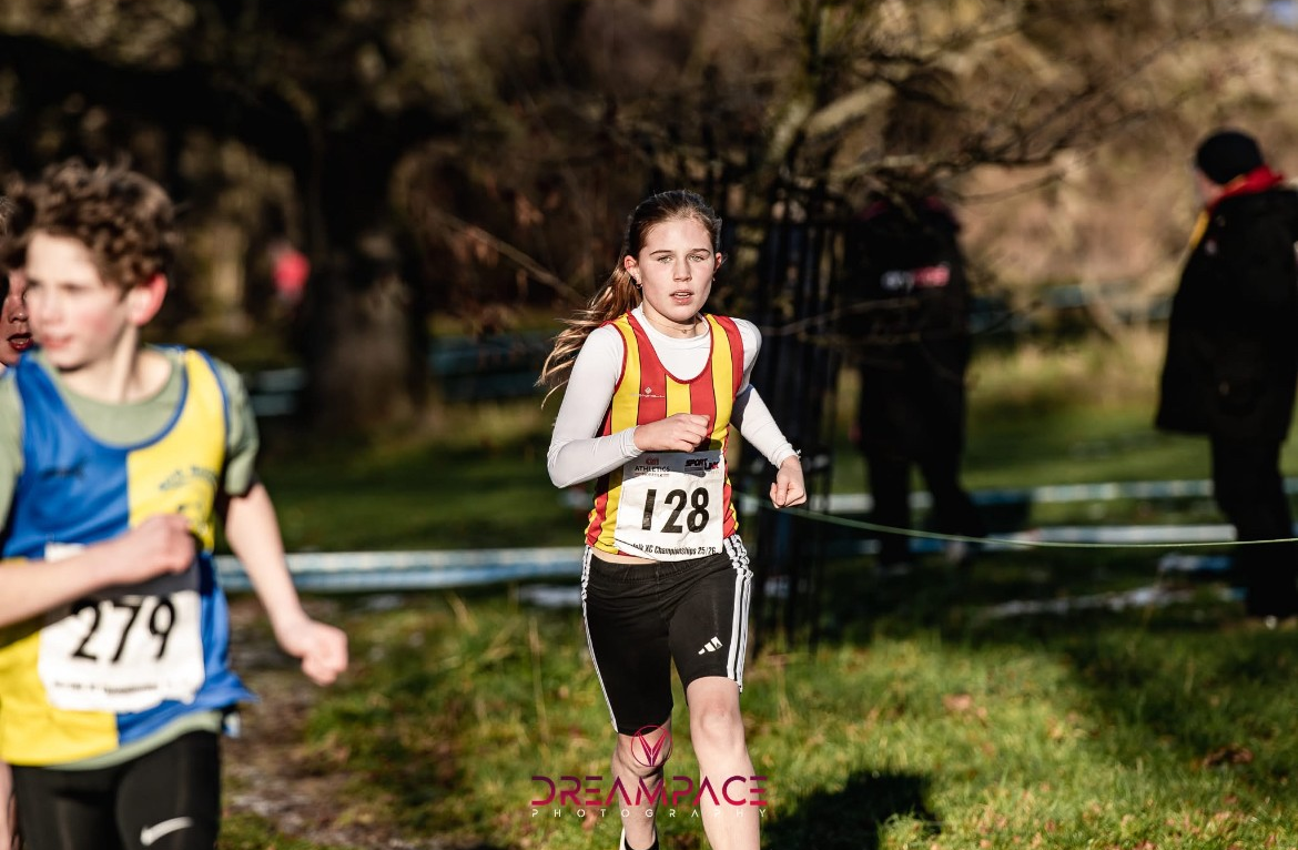 Norfolk County Cross Country Championships