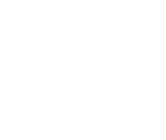 White logo consisting of a stylized cactus icon above the text "MR. CACTUS" inside a hexagonal border.