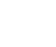 White logo consisting of a stylized cactus icon above the text "MR. CACTUS" inside a hexagonal border.