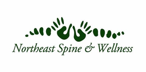 logo for Northeast Spine and Wellness