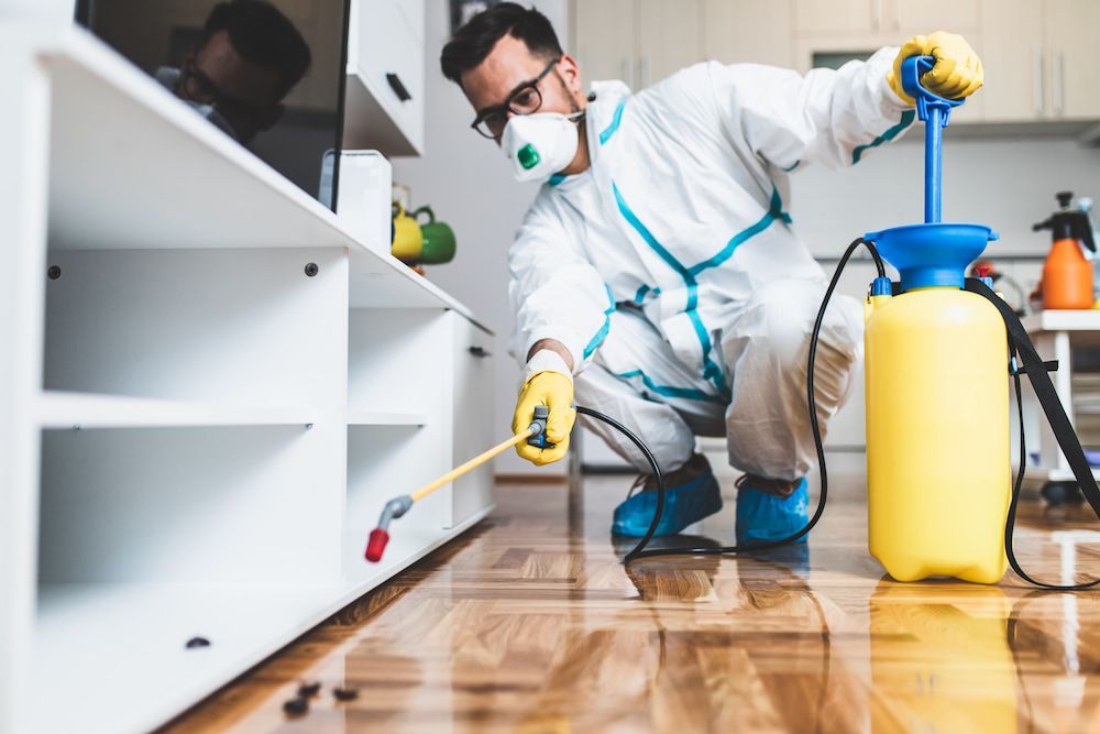 A Man In A Protective Suit Is Spraying Insecticide On A Wooden Floor In A Living Room — Nambour Pest Control In Coes Creek, QLD