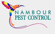 Comprehensive Pest Control Services on the Sunshine Coast