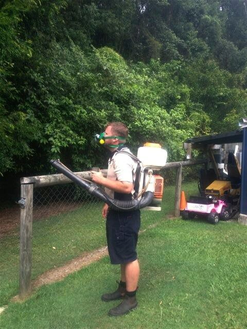 A Man Wearing A Mask Is Spraying Trees With A Backpack Sprayer — Nambour Pest Control In Coes Creek, QLD