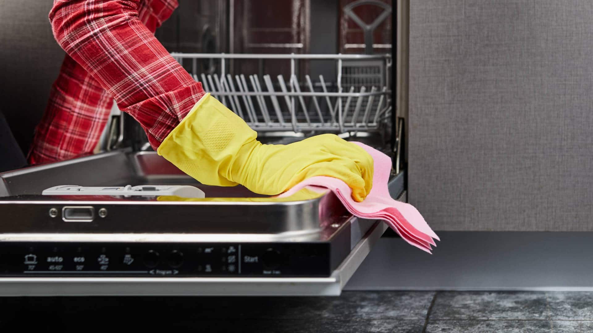 How to Clean a Dishwasher in 4 Simple Steps