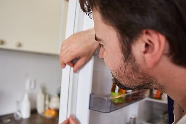 DIY Help: Fixing a Refrigerator Door Not Sealing