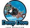 Logo featuring a scuba-diving otter holding a magnifying glass in a blue circle, above text: "Deep Dive LEAK DETECTION."