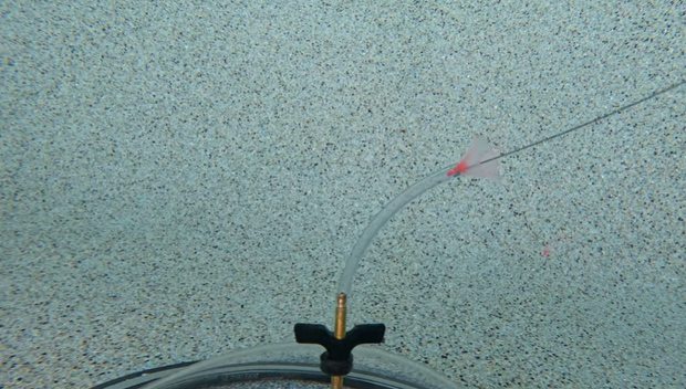 A clear plastic tube attached to a brass wing nut fitting, with a small red fiber snagged on the tubing.