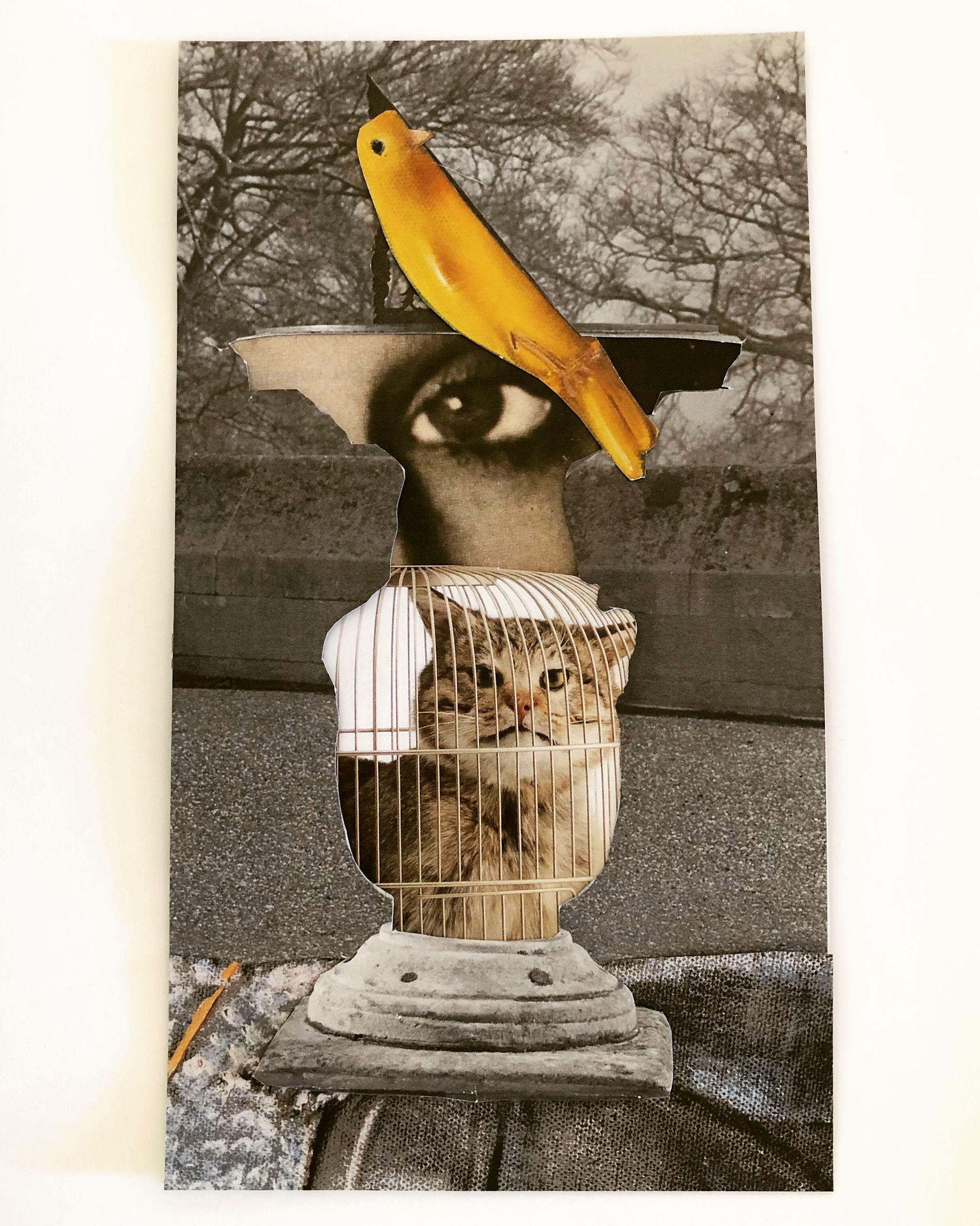 In a Nutshell by Robin Young