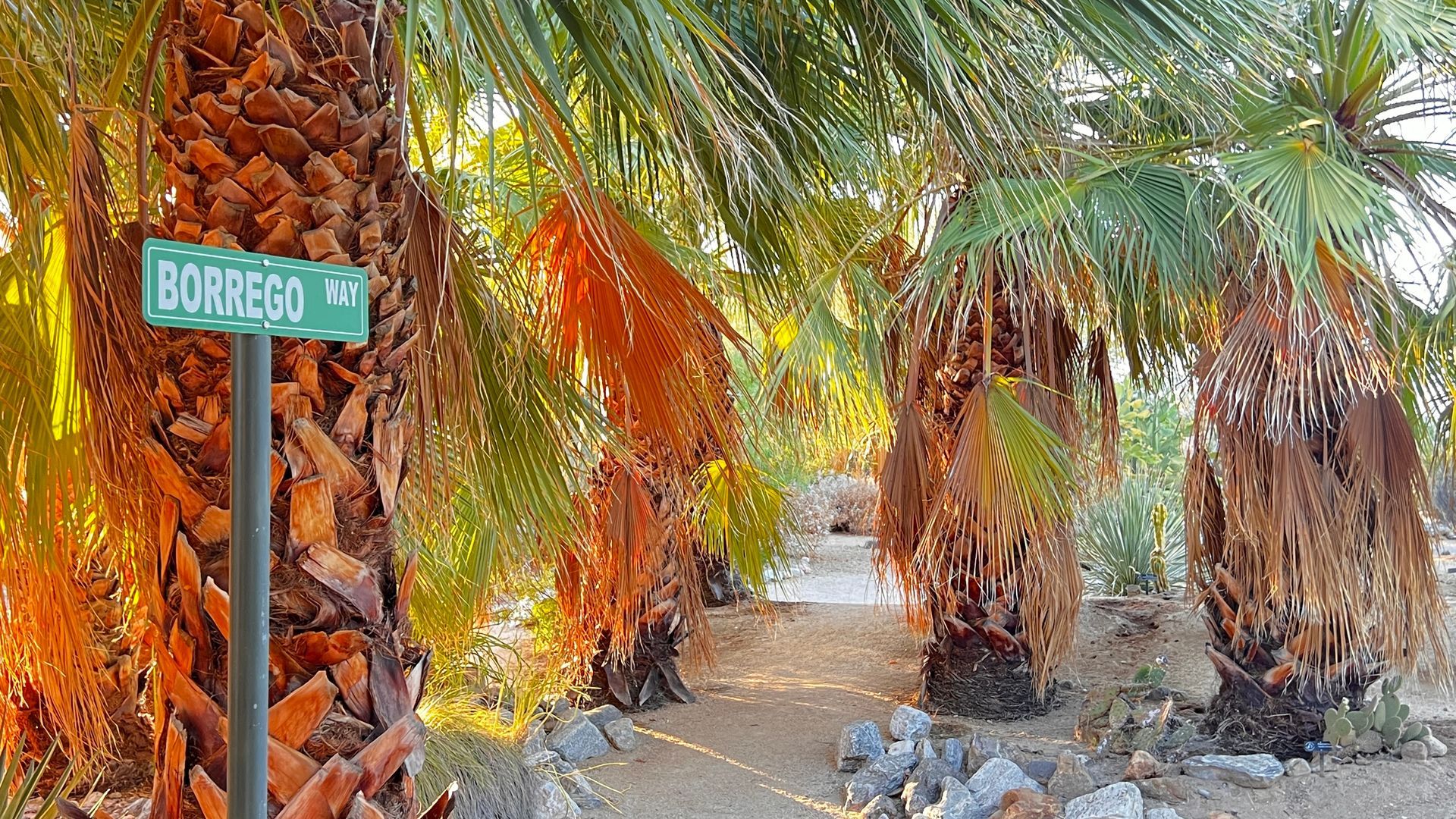 ABDNHA Desert Garden walkway