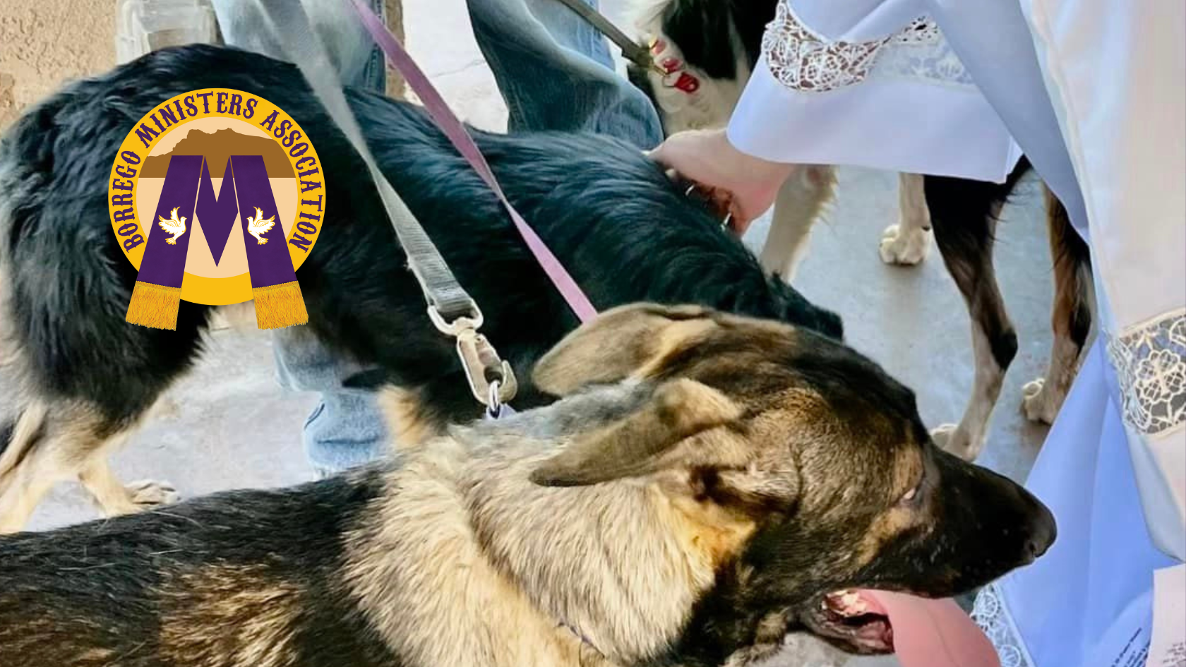 Blessing of the Animals