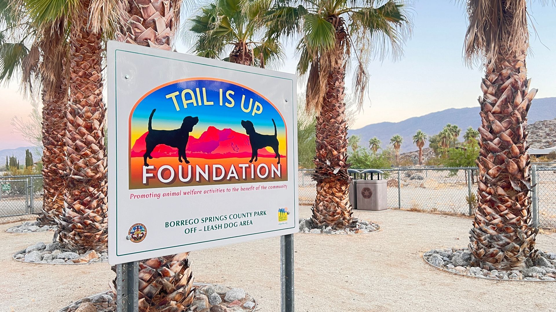 Dog-Friendly Borrego Springs County Park