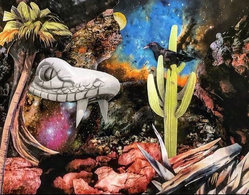 Robin Young Borrego Springs Artist Spotlight