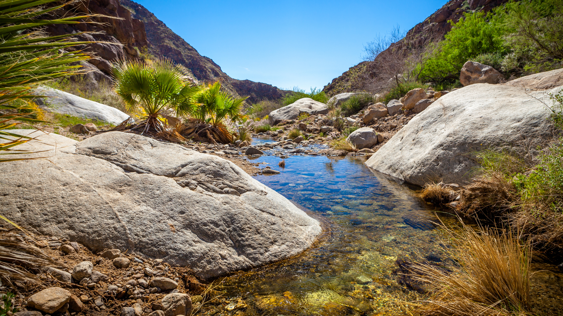 Sheep's Canyon in Anza Borrego State Park - Coyote Creek