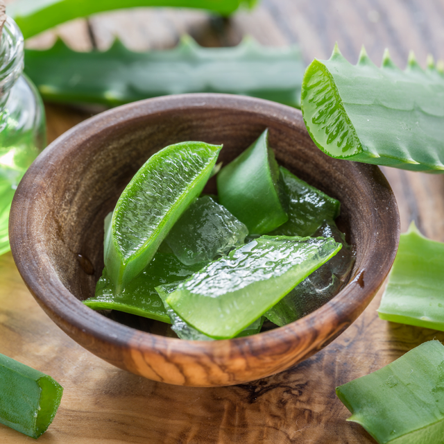 Using Aloe for Sunburn Relief: A Step-by-Step Guide