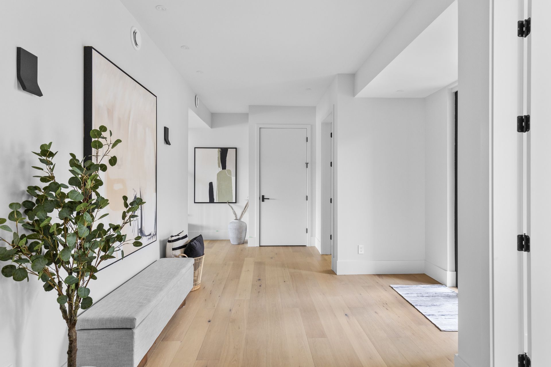 Bright minimalist hallway with light wood floors, white walls, a bench, mirror, and potted plant