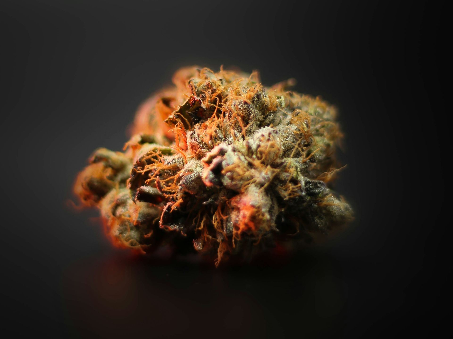 boutique thca flower