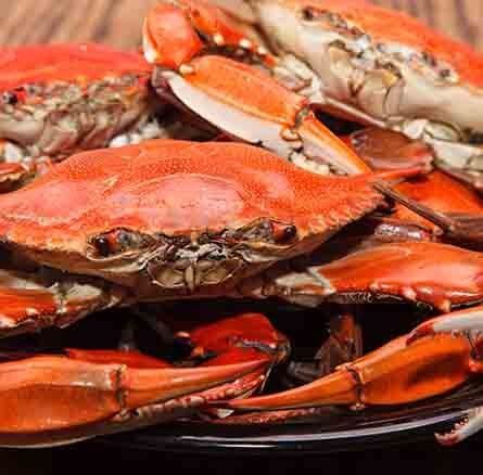 Hot Steamed Blue Crabs —Products in Darwin, QLD in Darwin, QLD