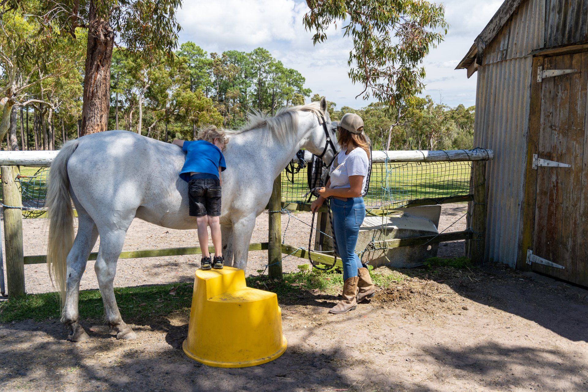 Equine Therapy :: Better Life Ranch