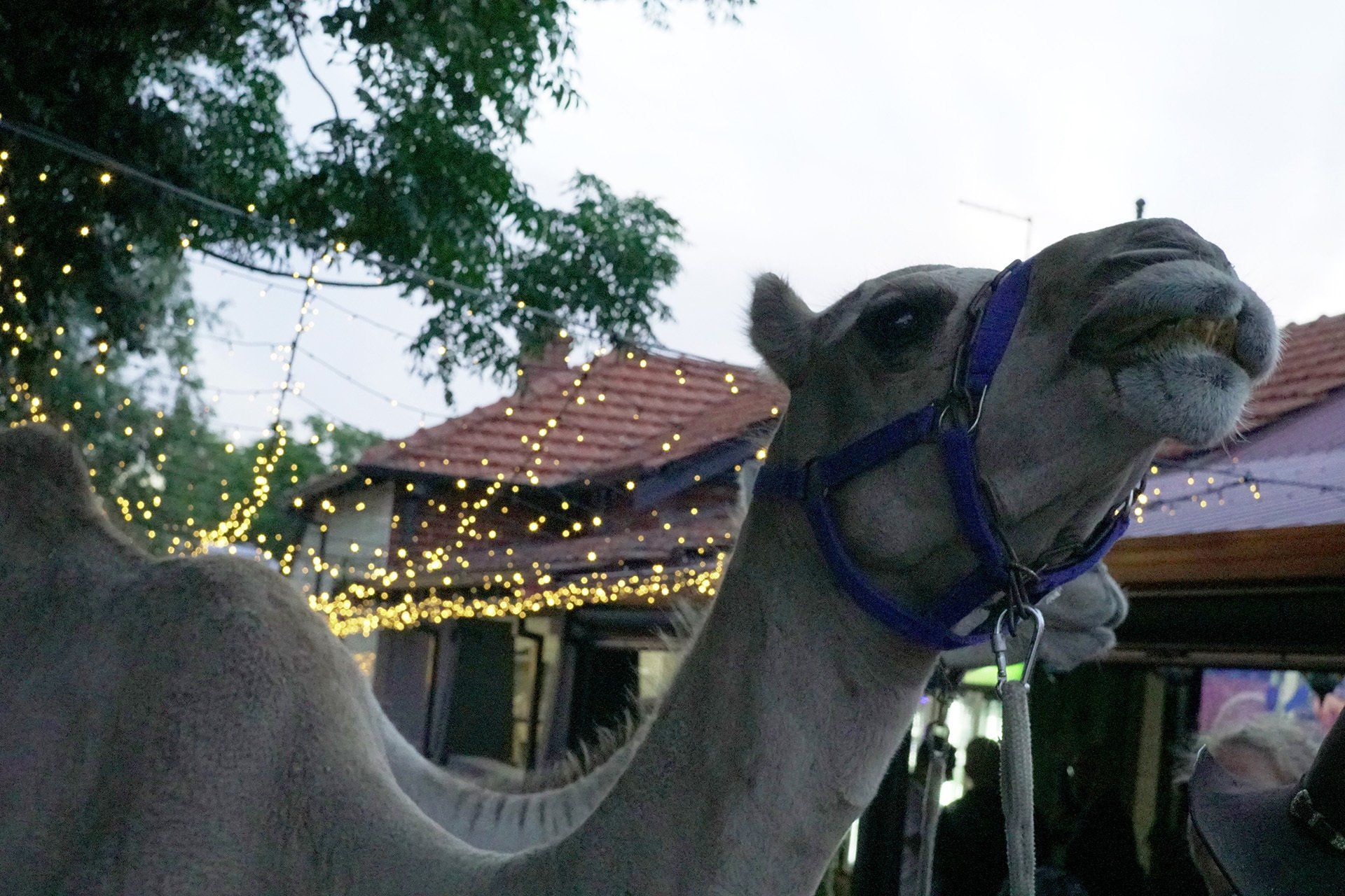 Ghan Hookah Lounge Ethnic Welcome Friends