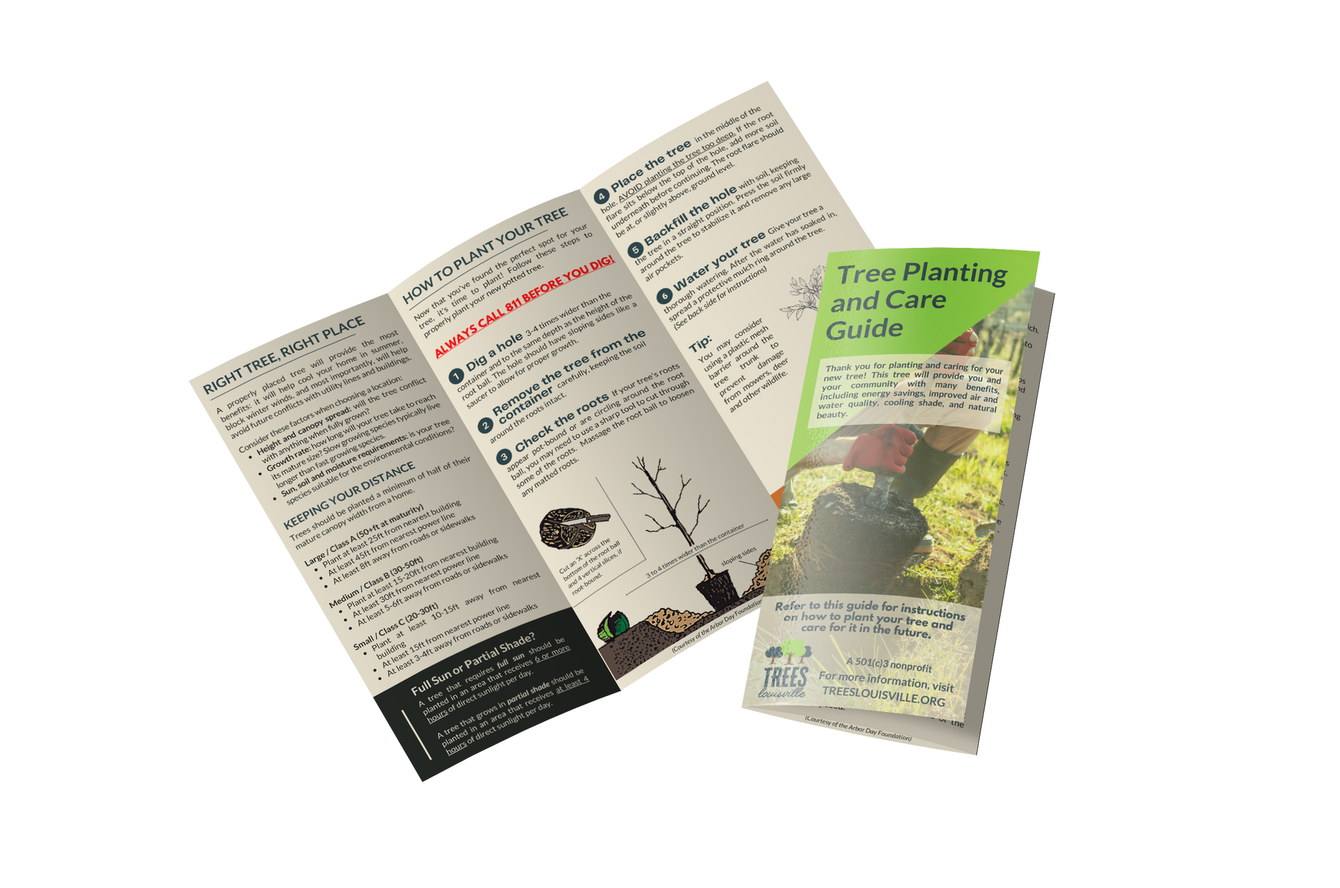 Tree Planting and Care Guide