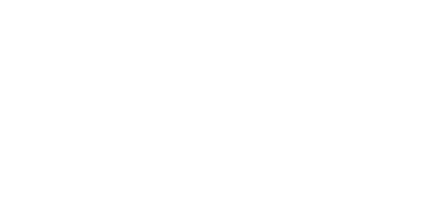 Northamptonshire Steelbacks logo