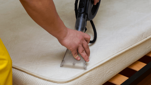 Mattress Cleaning Hatings. An image of a leaner in Hastings performing a professional mattress clean..