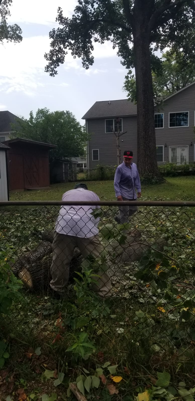 A man is kneeling down in the grass next to a tree.