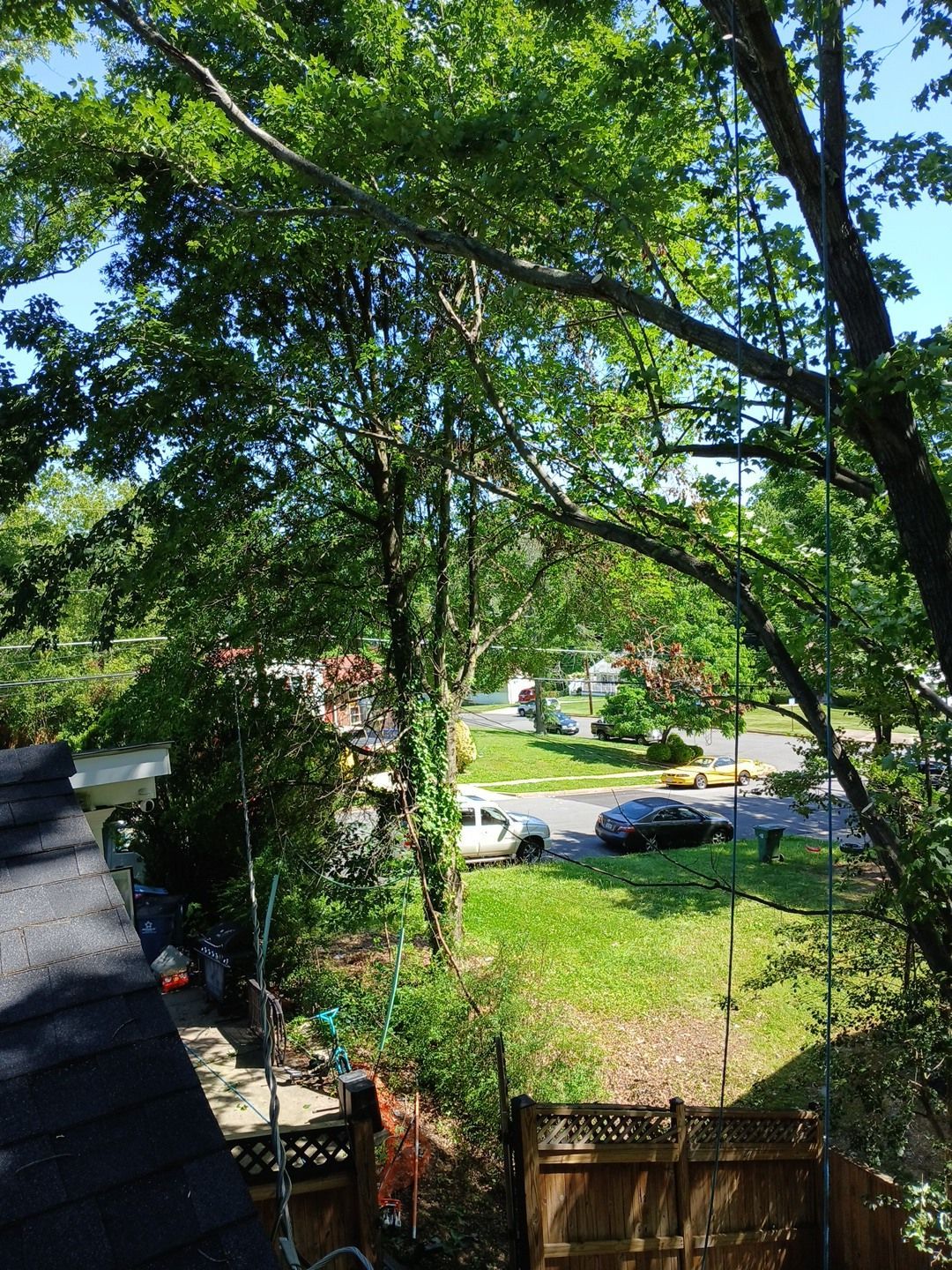 A view of a residential neighborhood from the roof of a house.