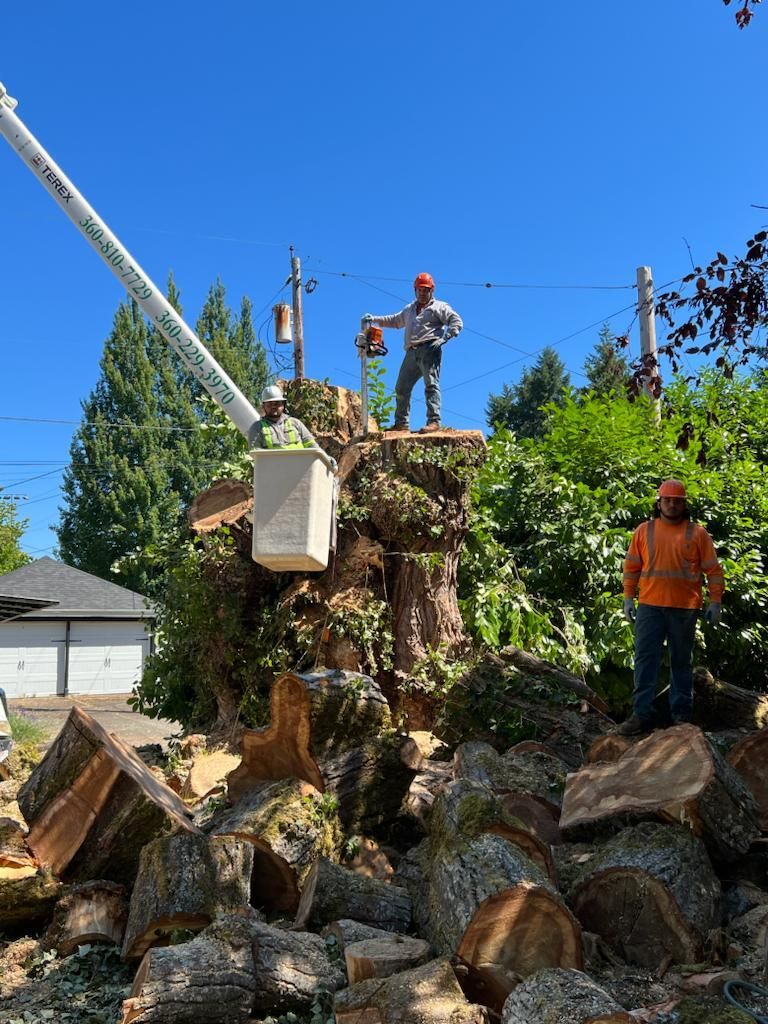A man is standing on top of a tree stump next to a crane.
