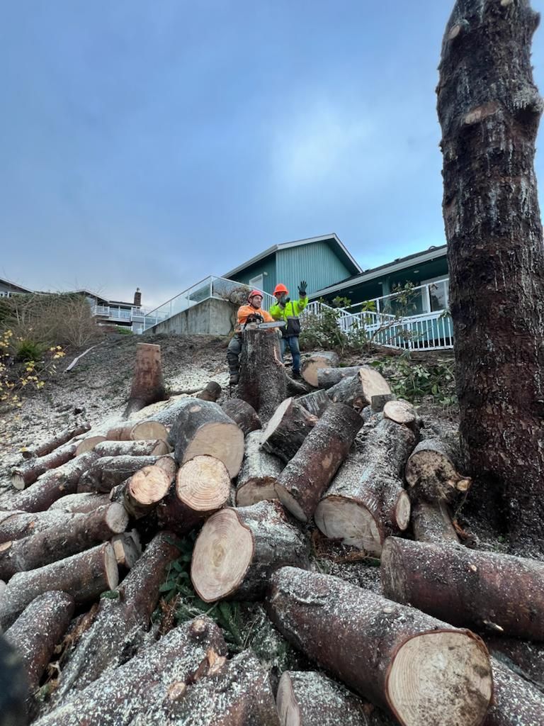 Two men are standing on top of a pile of logs.